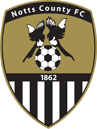 https://img.jnhpntsb.com/img/football/team/9e230c89a846b9cadf91884918fa7611.png